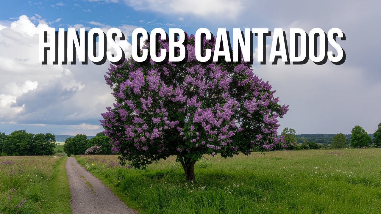 Hinos CCB Cantados para Viver a Fé em Silêncio