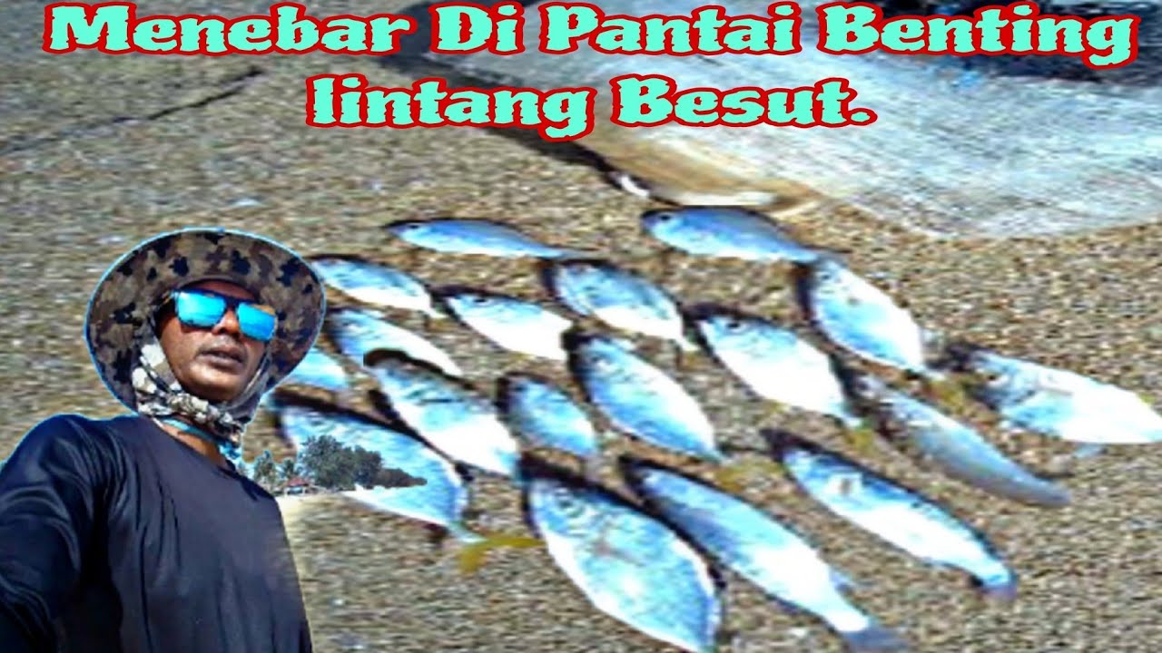 Castnet/Fishing, Menebar Di Pantai Benting Lintang Besut. @semuaorangyoutube #shorts 
