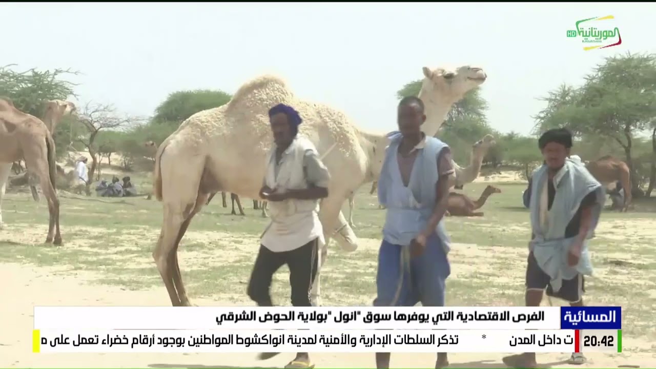 الفرص الاقتصادية التي يوفرها سوق 