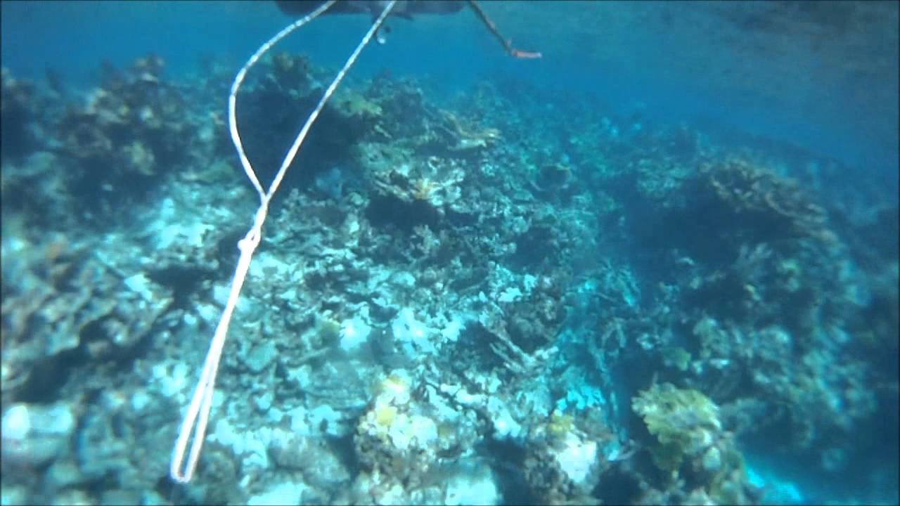 Om Sailing Charters LLC, "a Day in the Life"