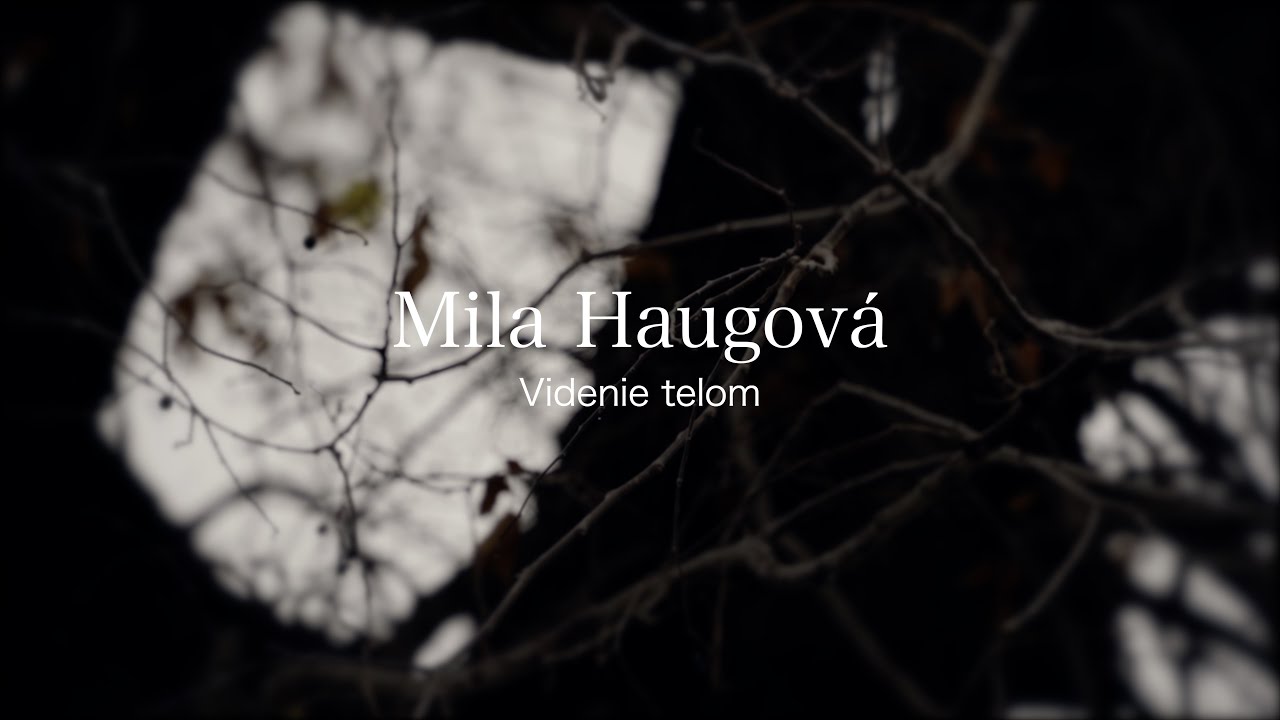 Robert Pospiš & Martin Sillay: Mila Haugová - Videnie telom (Lyric Video)