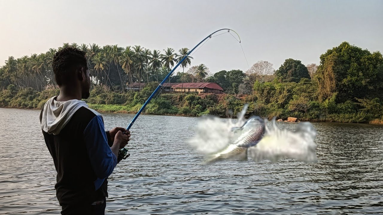 Amazing Barramundi Fishing with fishing rod Snakehead hunting snapper hunting