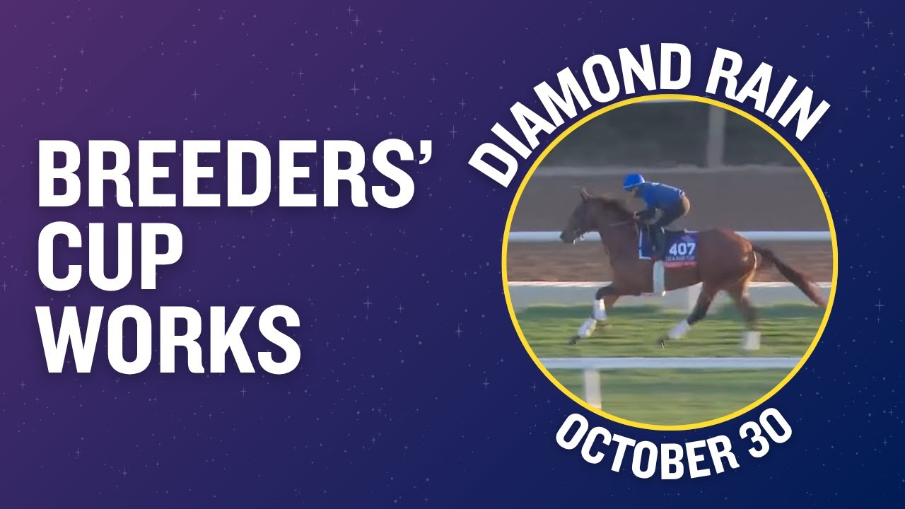 DIAMOND RAIN Gallops On The Turf Course - October 30th