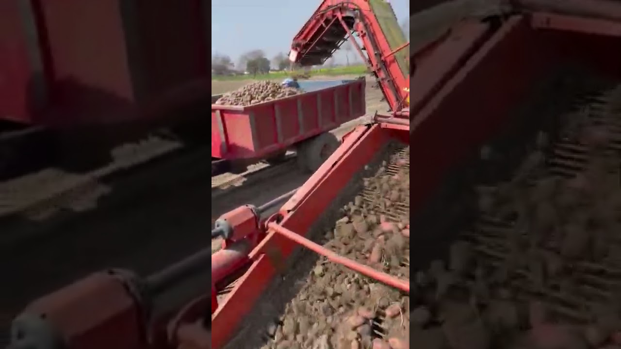 #shorts video Arsal Farm