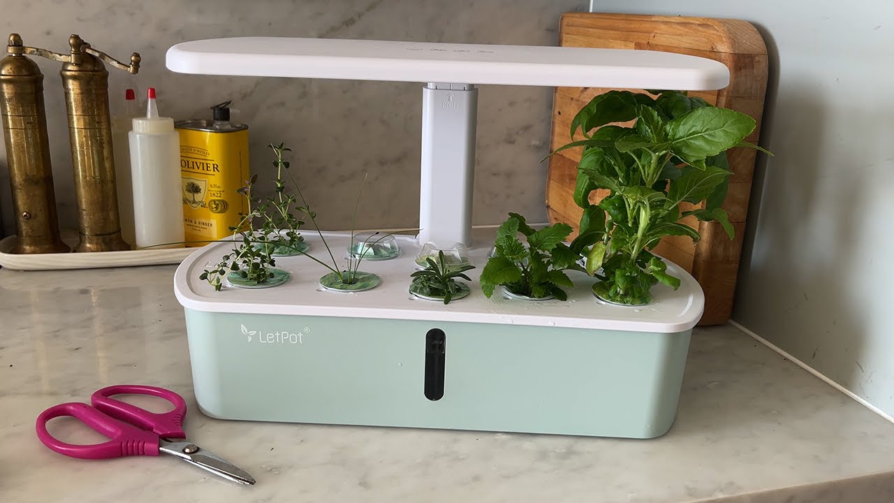 THE BEST INDOOR GARDEN for BEGINNERS: letpot lph-air review!