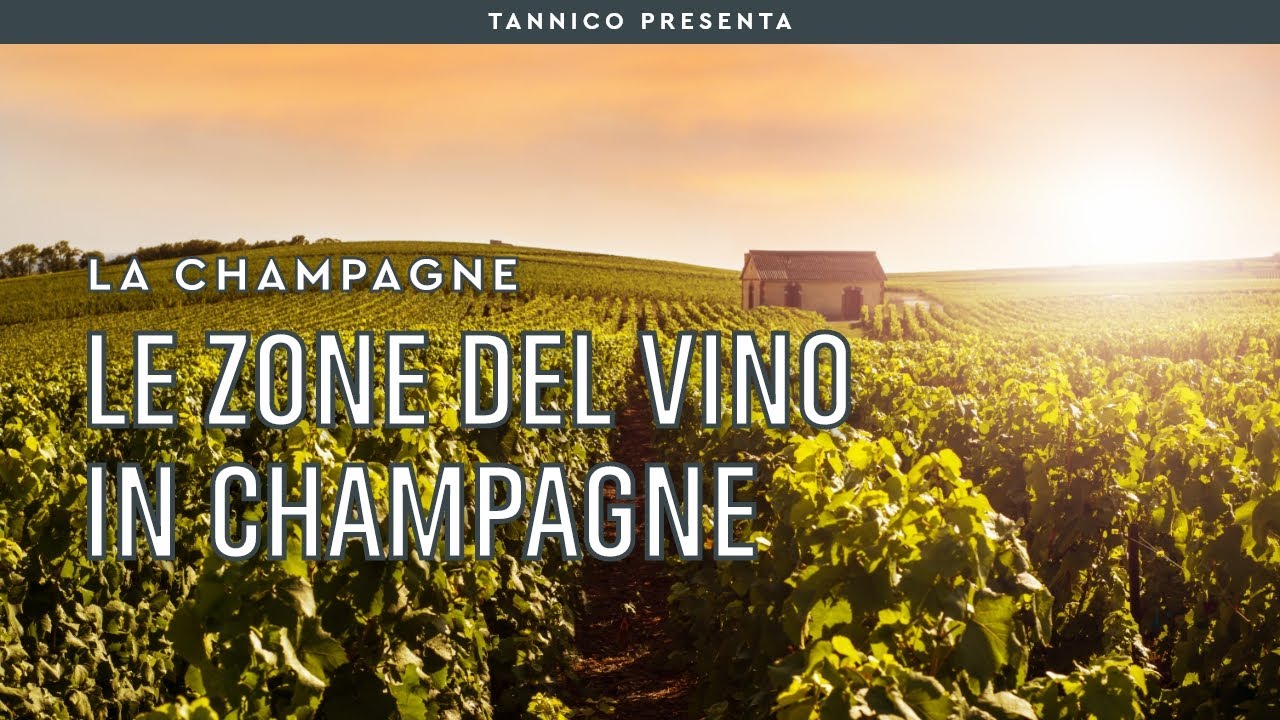Le zone dello Champagne | Tannico Flying School