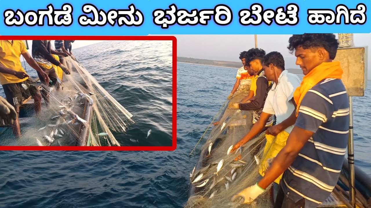 ಪಟೆ ಬಲೆ ದೋಣಿಗೆ ಭರ್ಜರಿ ಬಂಗಡೆ ಮೀನಿನ ಬೇಟೆ🥳🐟🐟