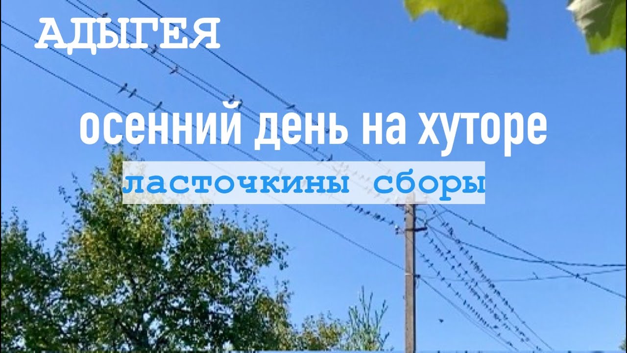 Сельская жизнь в АДЫГЕЕ/ Ищу работу/Поездка в аул /Улетели в теплые края/ Калитка для уток/
