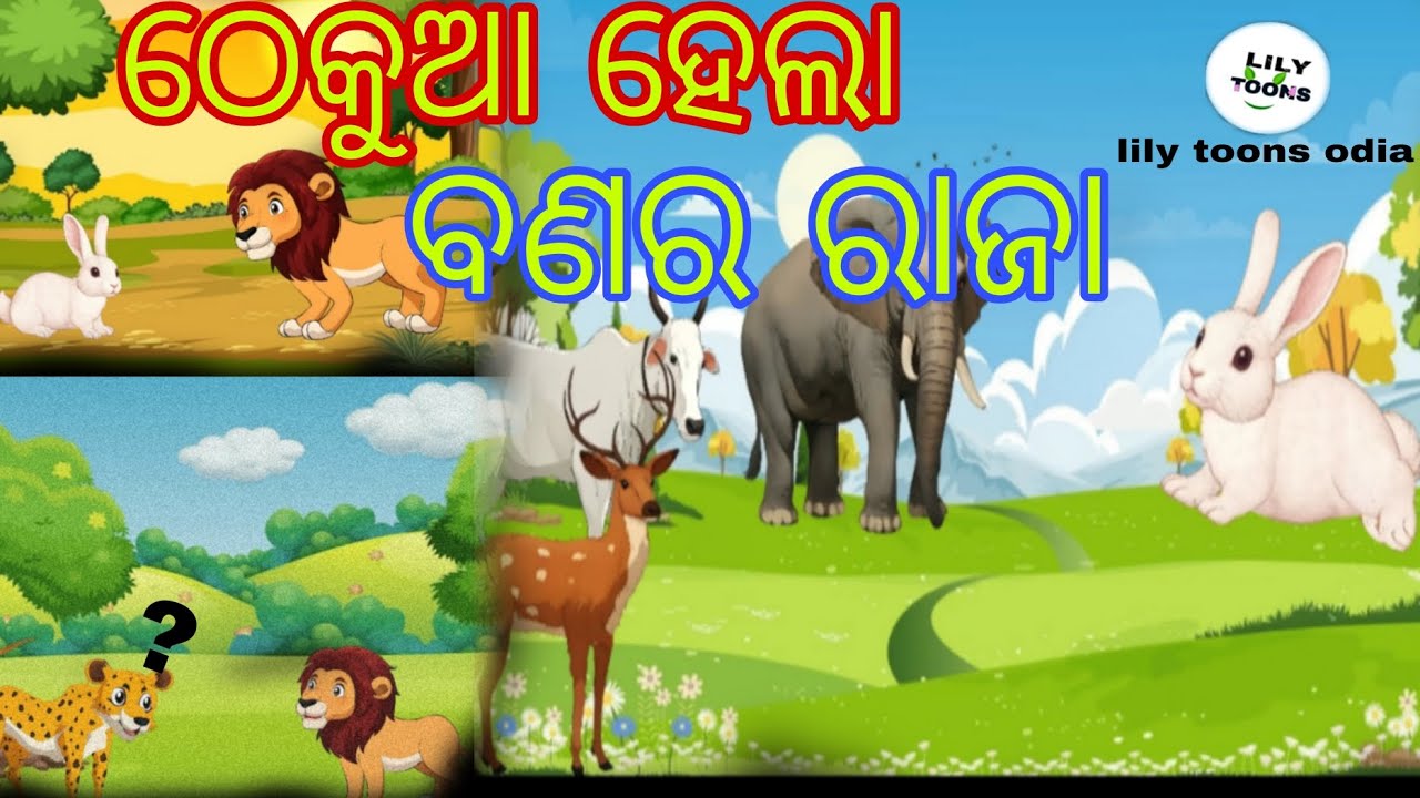 ଠେକୁଆ ହେଲା ବଣର ରାଜା #odia #story #lilytoonsadia #cratoon 