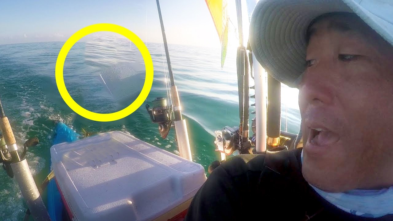 Kayaker Vede Qualcosa In Mare—Si Avvicina E Chiama La Guardia Costiera