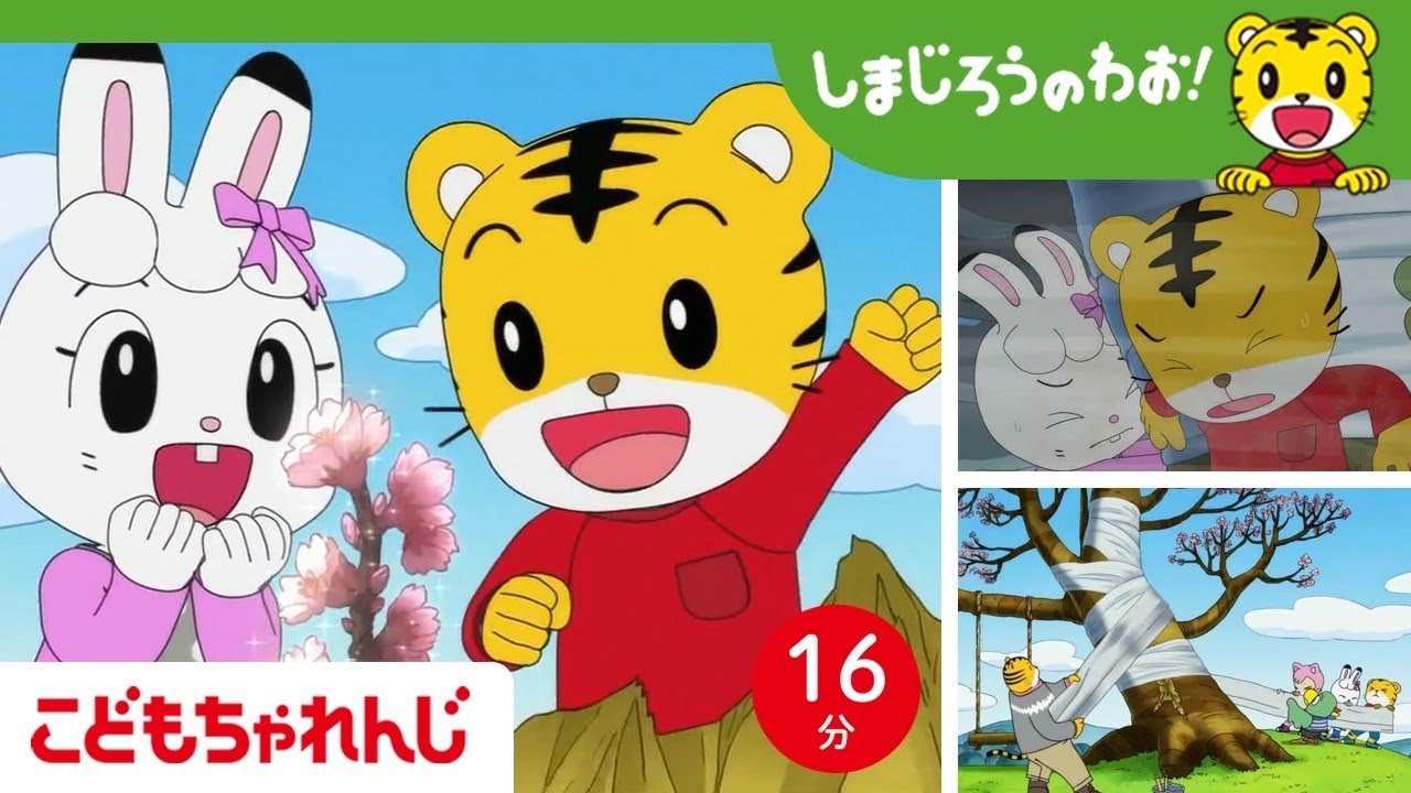 【16分アニメ】よみがえれ！ 思い出のさくらの木🌸 | 植物の命・自然の生命力 | しまじろうのわお！アニメ | しまじろうチャンネル公式