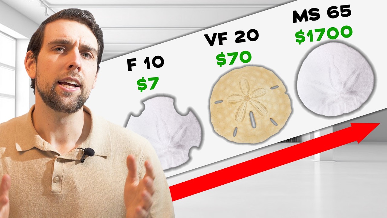 Why Grading Your Sand Dollar MATTERS