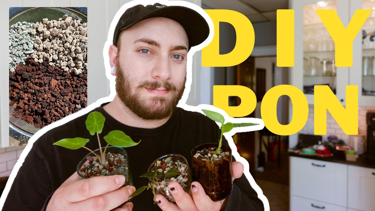 Lets make pon | DIY PON