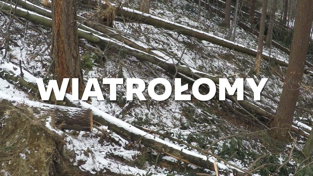 Wiatrołomy - Kozia G&oacute;ra