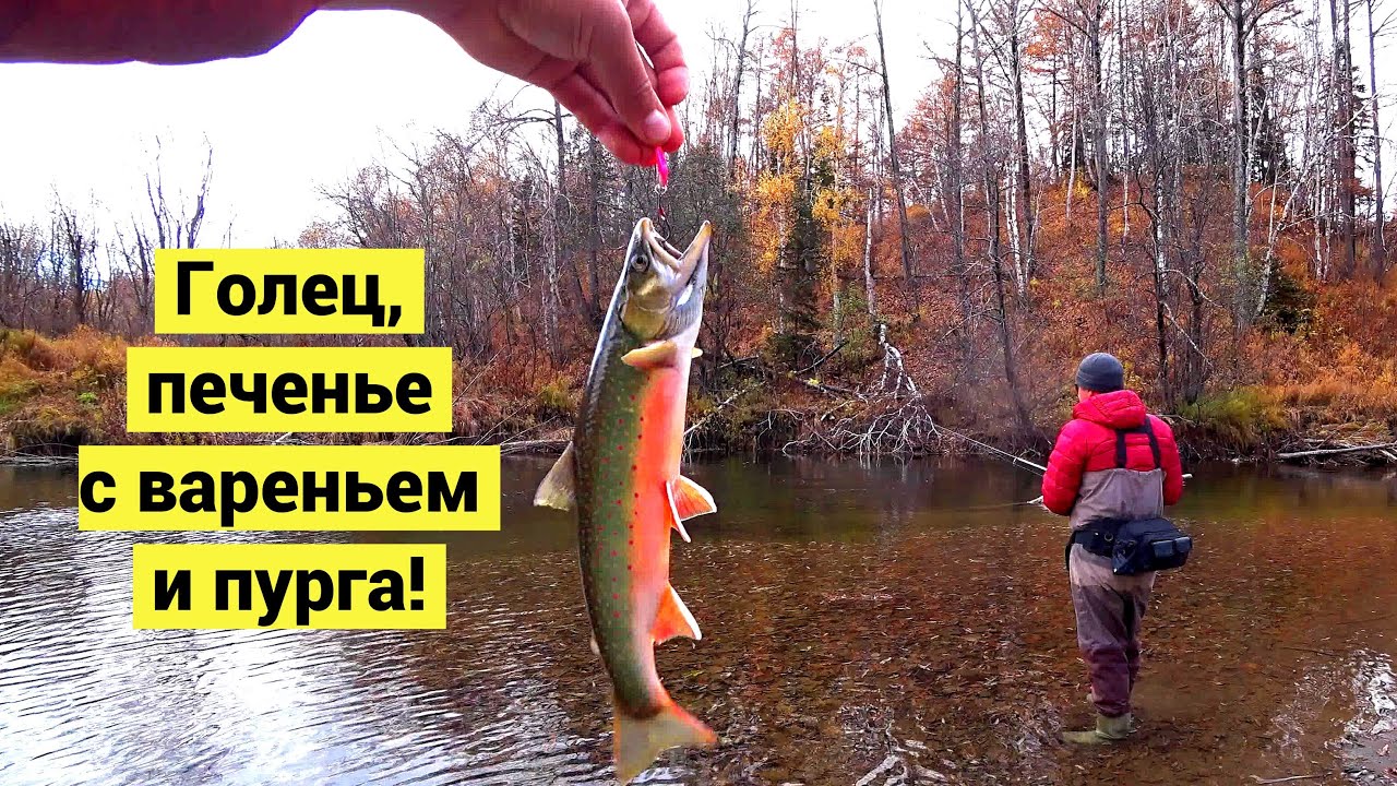 Голец, печенье с вареньем и пурга!