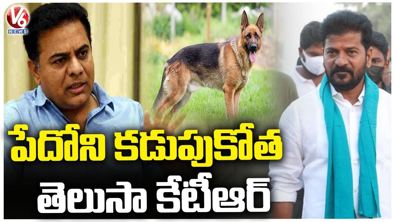KTR Is Cheating Poor People , Says Revanth Reddy | Bhupalpally | V6 News