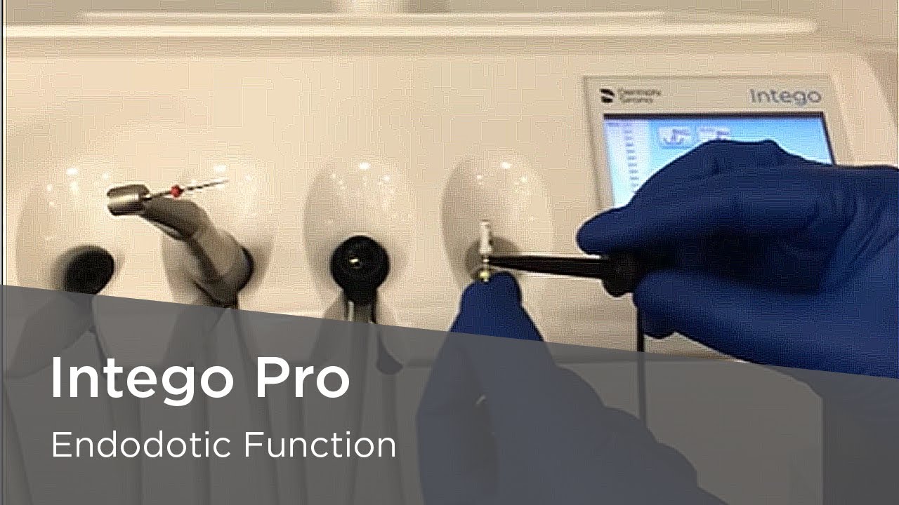 Intego Pro - Endodotic Function
