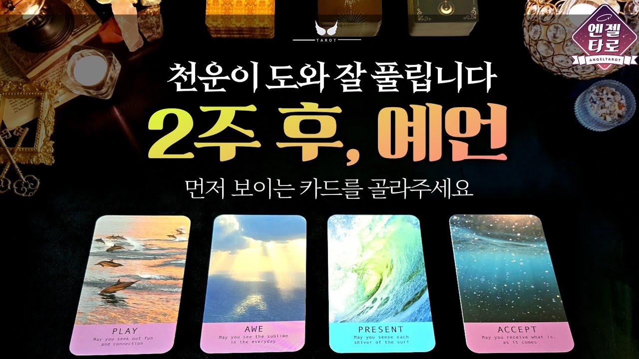 [엔젤타로]🎊축하합니다👍🏻🎊 2주 안에 생길 좋은 일을 예언합니다🔮 | 이건 기대해도 좋아요!
