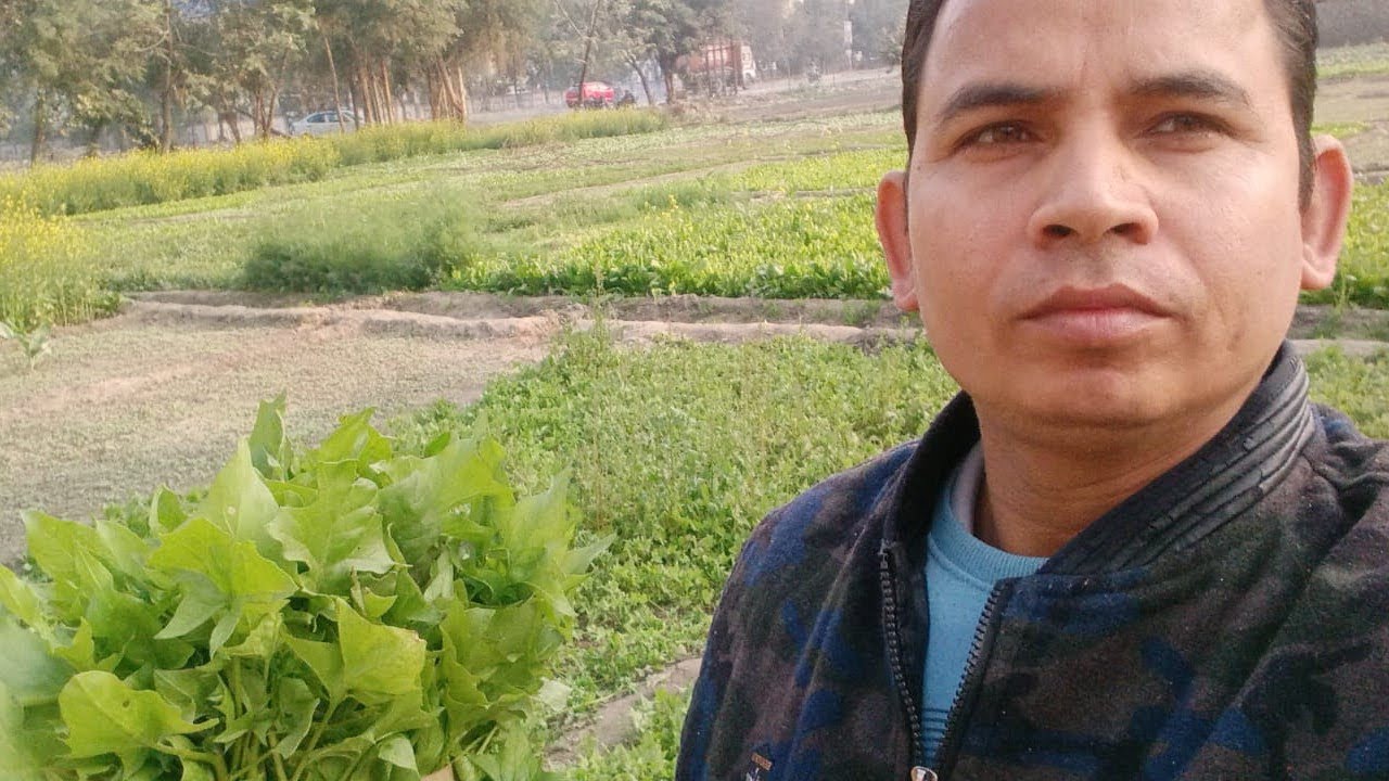 Farming in gaziyabad #ternding #dilyvolg #minivolg 