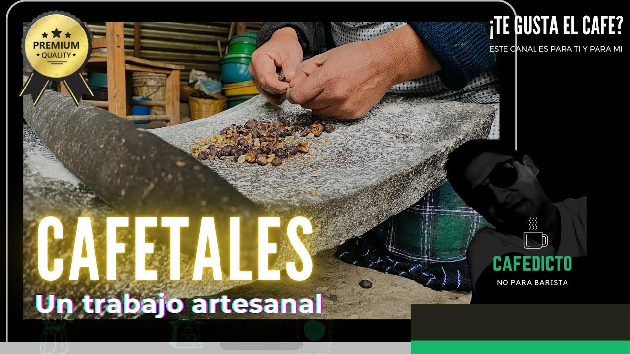 Cafetales / SECADO🌰+ Tostado+molido + DEGUSTACI&Oacute;N🤳CAF&Eacute; ☕️ #cafedictomx