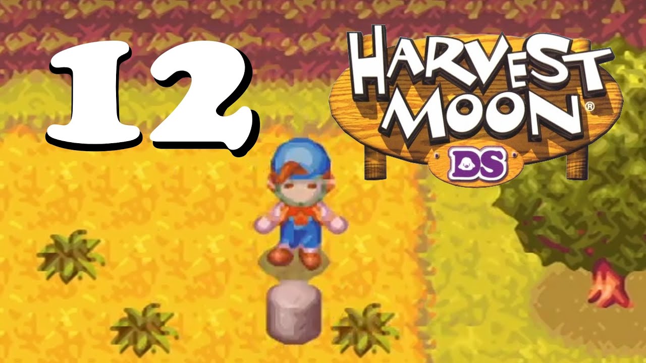 Und so schnell kann's gehen | 12 | Harvest Moon DS | FR 13 | German