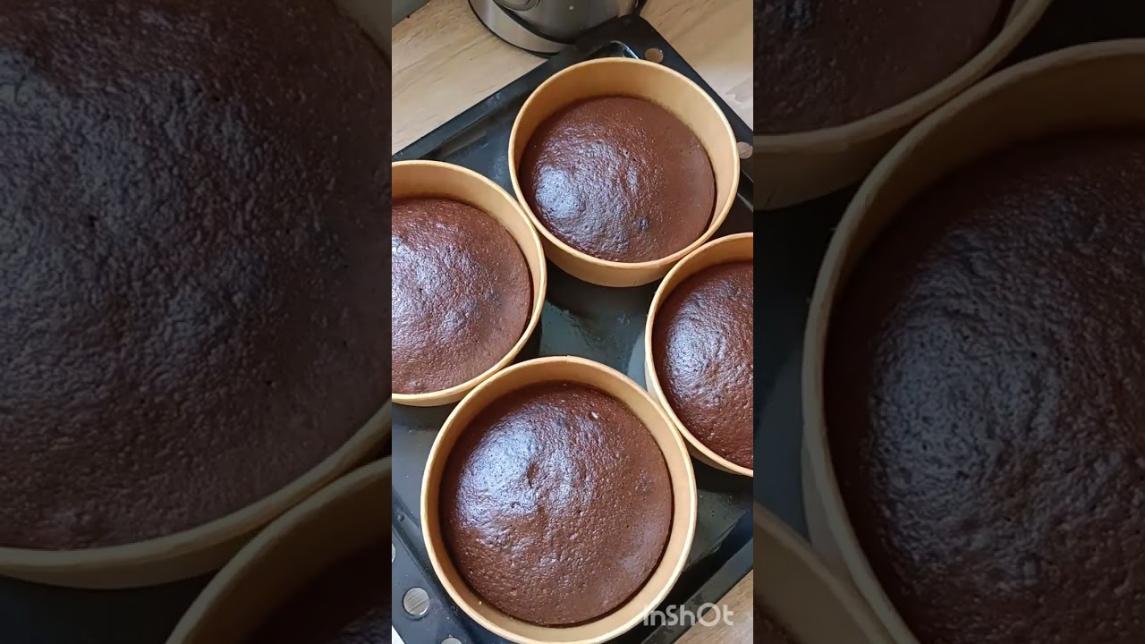 علب كيك السعاده او اطباق الكيك ديسباسيتو بالشكولاته لاصحاب المشاريع صغيره مواد جدا اقتصاديه