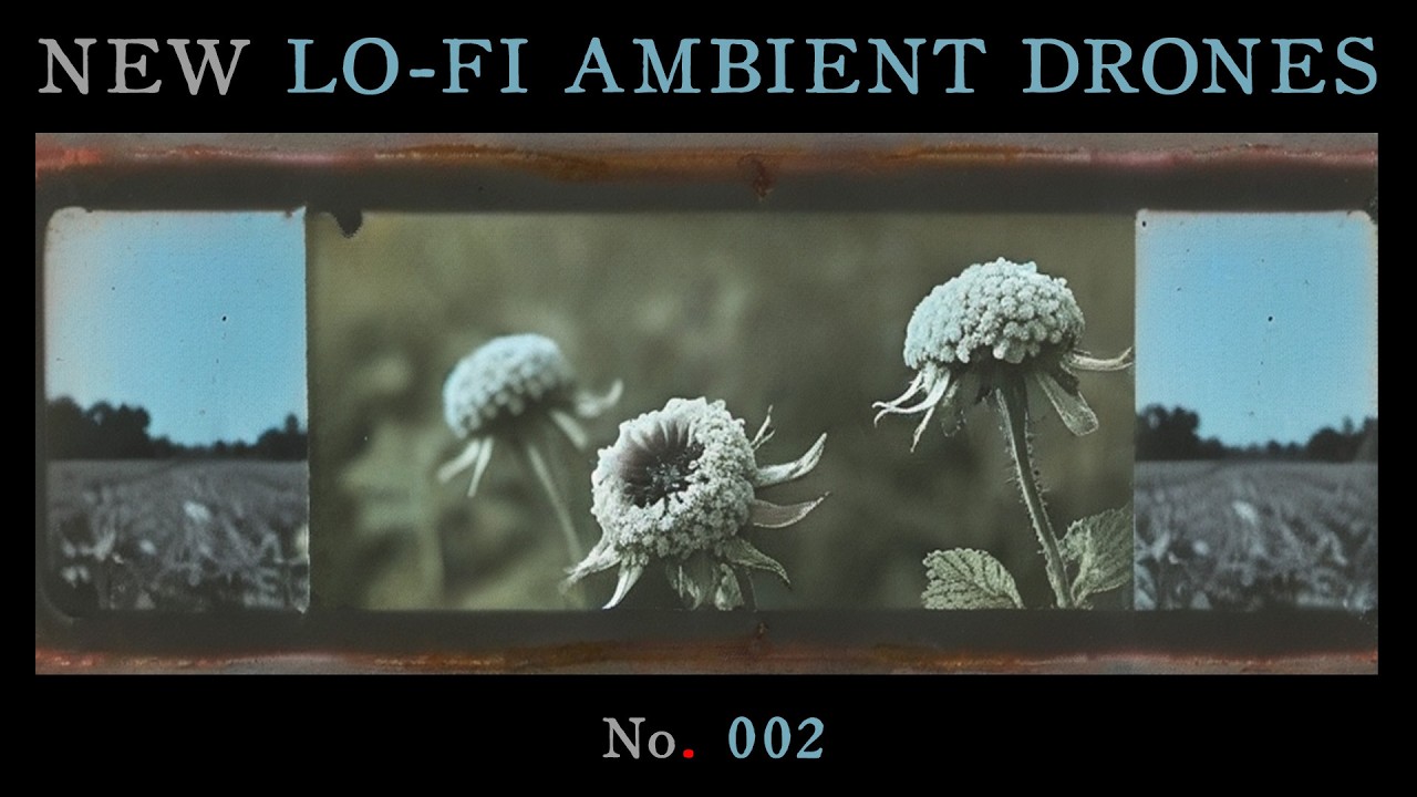 NEW LO-FI AMBIENT DRONES (No. 002) - (Lofi Darkambient Noise)