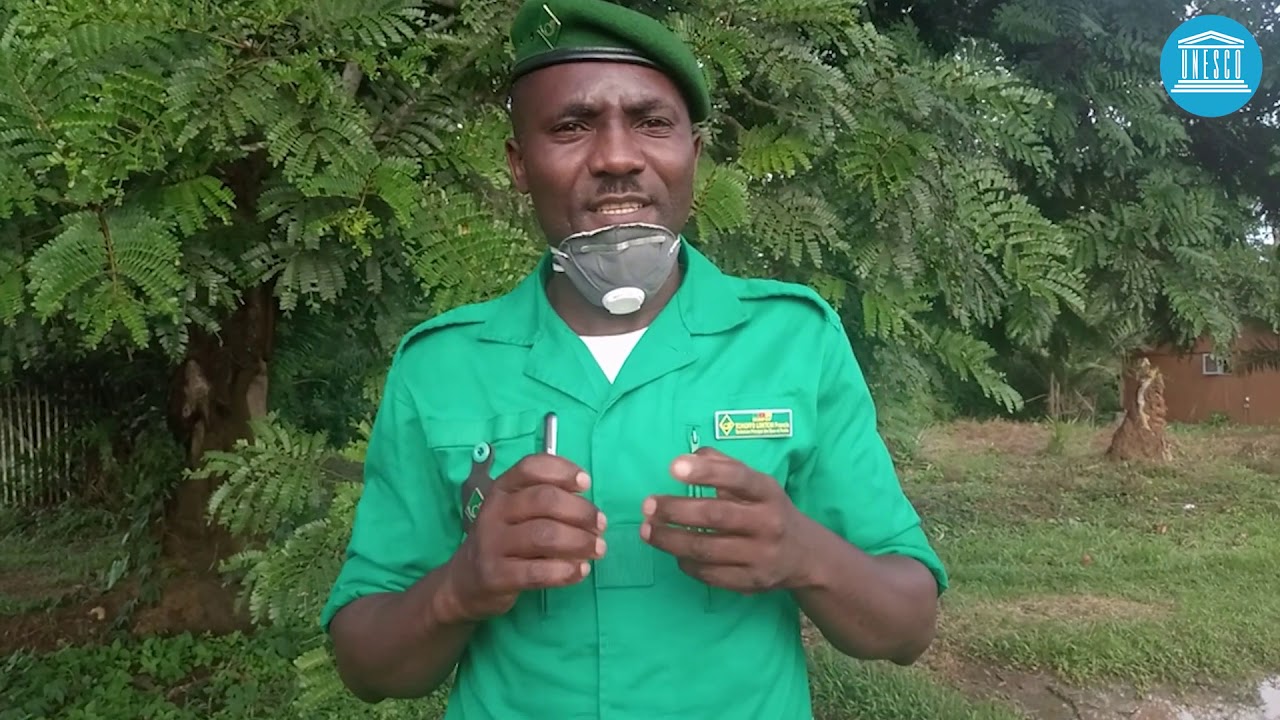 Dja Faunal Reserve (Cameroon)-Site management during COVID-19 pandemic