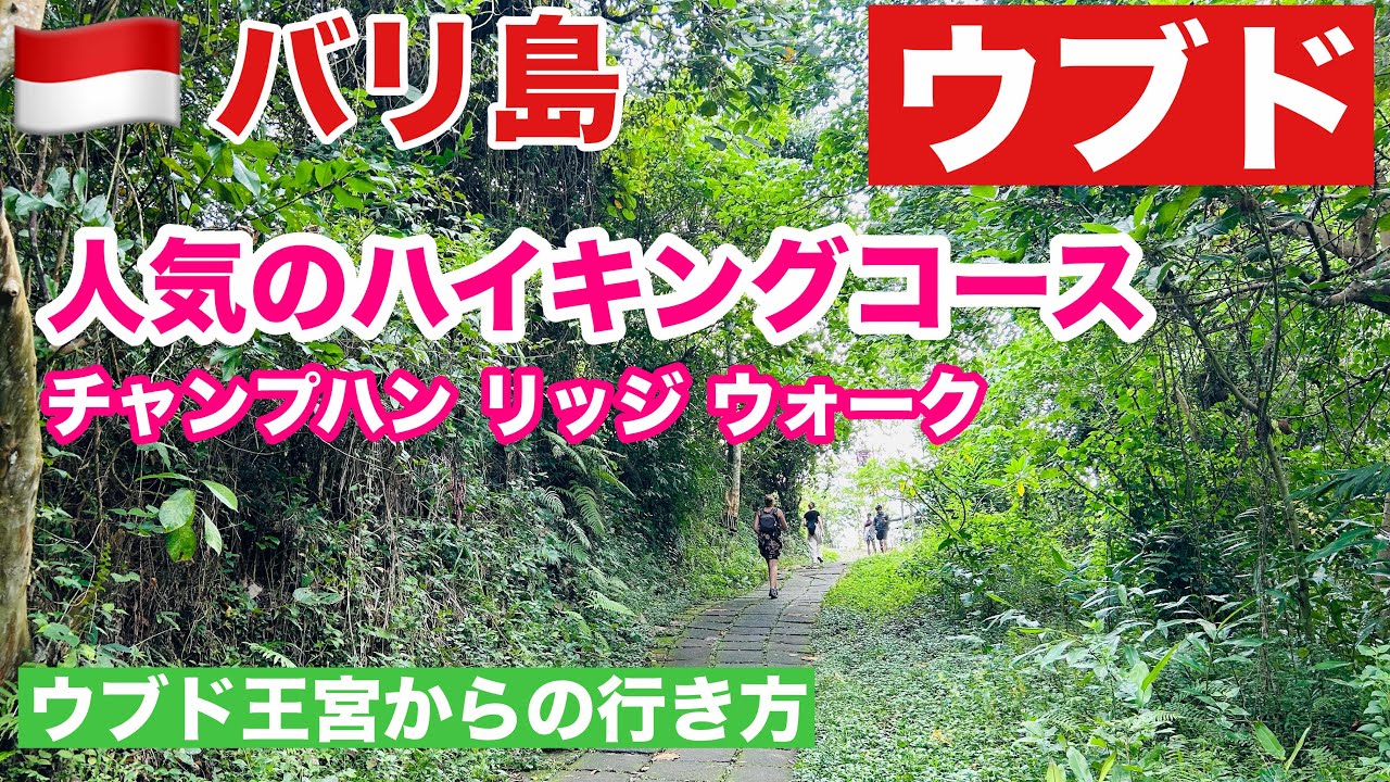 🇮🇩ウブド|人気のハイキングコース|チャンプハン リッジ ウォーク|ウブド王宮からの行き方|バリ島インドネシア