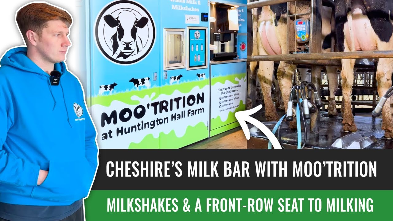 Cheshire’s Milk Bar with Moo’trition - Milkshakes & a Front-Row Seat to Milking