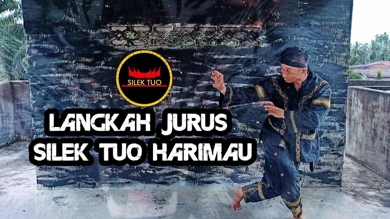 SPIL langkah JURUS silek tuo harimau #silektuo #jurusharimau #silekharimau