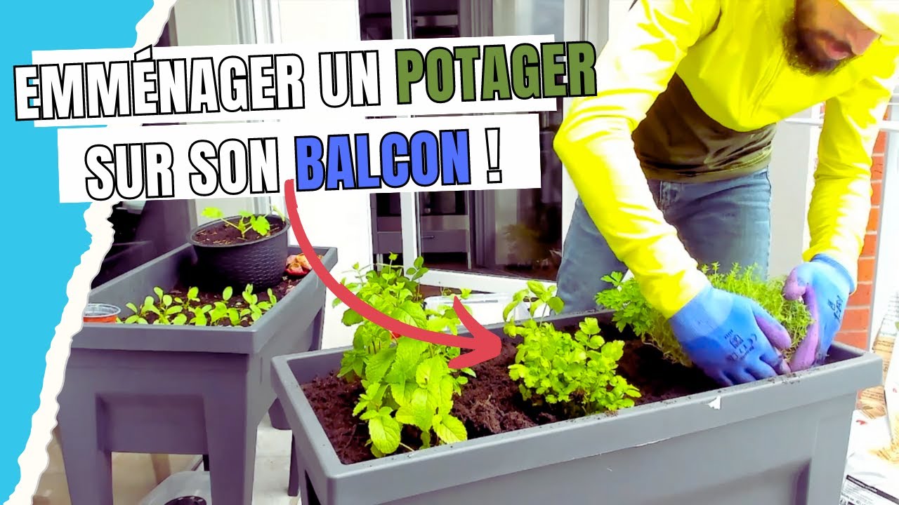 UN Potager sur Votre Balcon : Que Planter, Comment Faire et Astuces pour Réussir ! 🌱🏡
