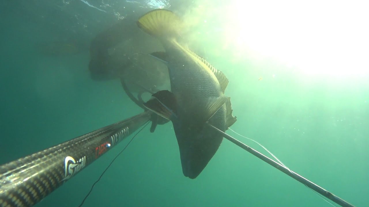 PESCASUB   Pesci autunnali