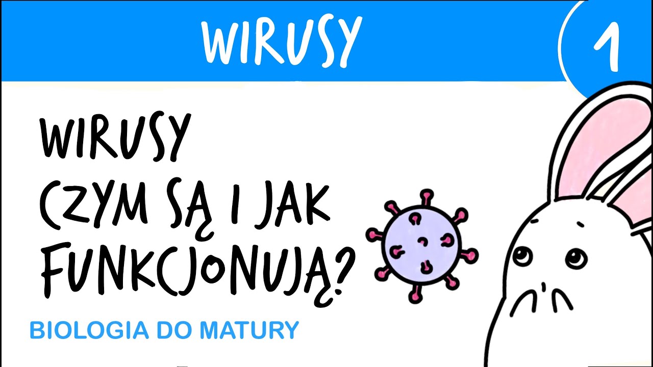 Wirusy 1 - Czym są i jak działają? budowa i funkcjonowanie wirusów - biologia do matury