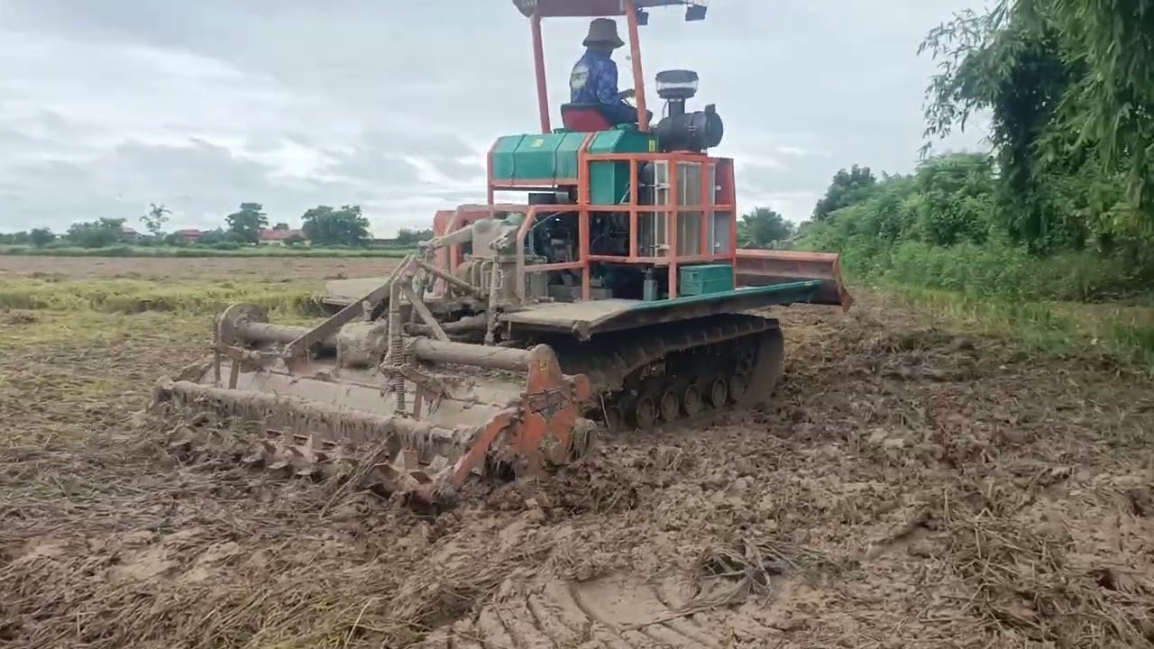 Rice Field Transformer?! 🤯 Farming Machine Surprise in Action 🌾