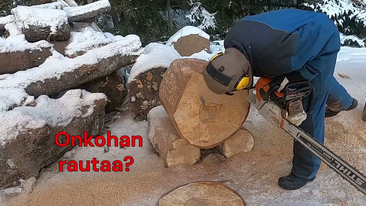 Stihl 500i против 661: вес или мощность? #poweredbypartaorava #stihl