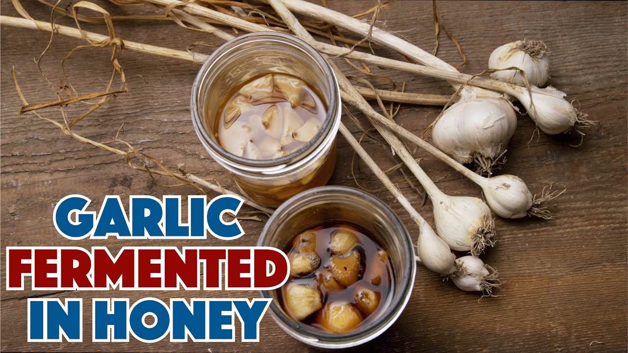 🐝🧄 How To Make Garlic Fermented In Honey Recipe