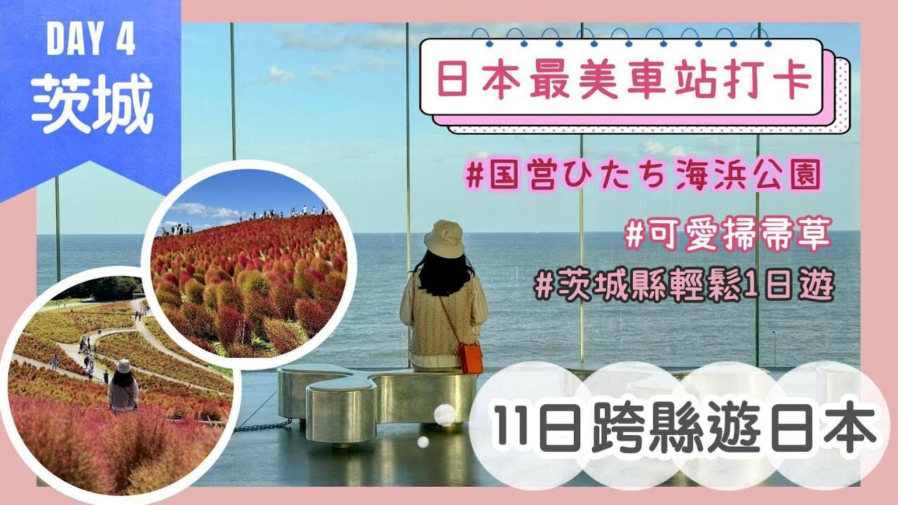 【茨城縣自由行．完美打卡一日遊】國營日立海濱公園 超可愛紅色掃帚草❤️｜絕美玻璃屋車站 日立站打卡｜11日跨縣遊日本Day4｜全國JR PASS行程｜NAT GO JAPAN