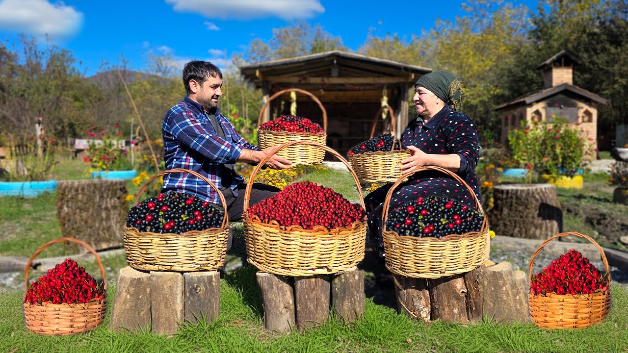 Outdoor Cooking / Natural Food Cooking in Village / Sustainable Living