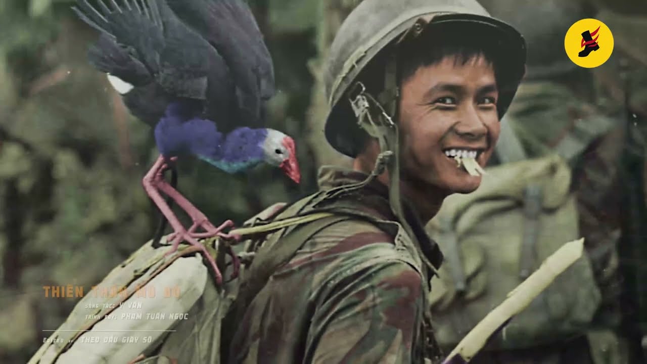 Top 30 Bài Nhạc Lính Xưa Bát Hủ - Sài Gòn Miền Nam Trước 1975 | LK Phố Đêm