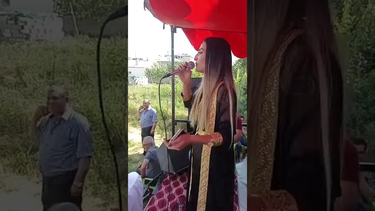 aydın aldemir'in oğlu Hozan reşo'nun kardeşi barış aldemir'in görkemli Nişanı sizlerle