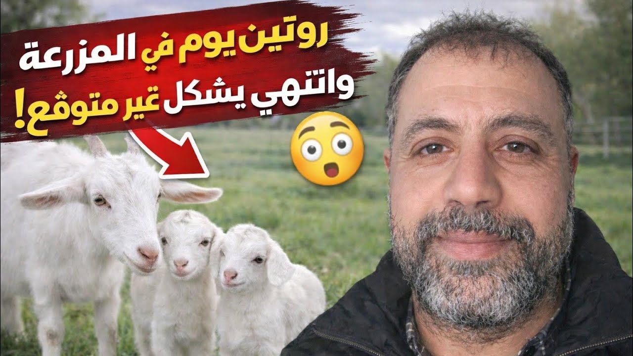 لم أكن مستعدًا لما حدث اليوم في المزرعة 😱