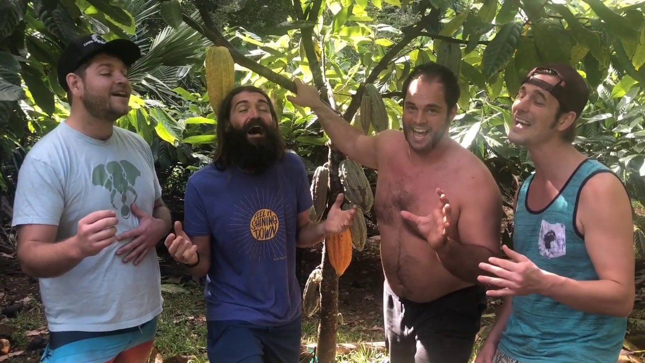 Acapella 