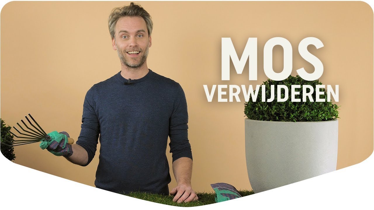 Mos in gras bestrijden? | Zo doe je dat | Pokon