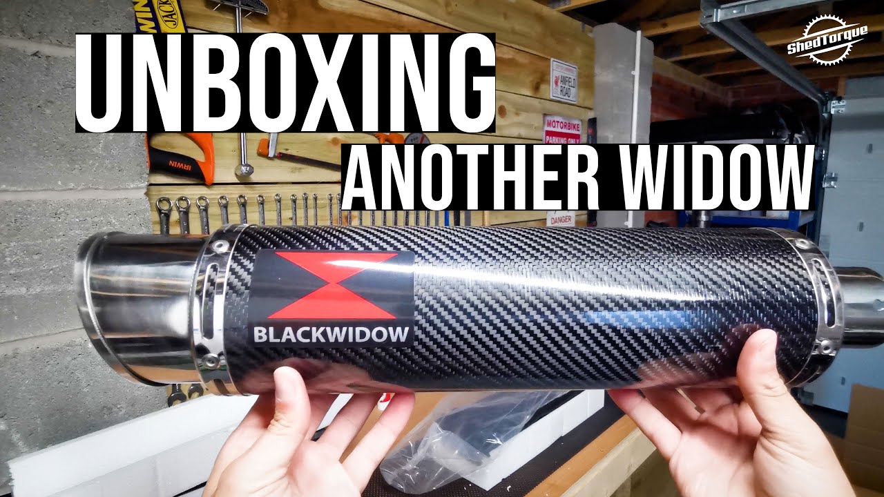 Unboxing ANOTHER WIDOW - Kawasaki Z1000sx Twin Exhaust