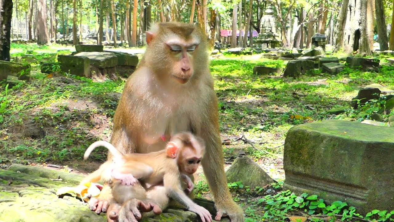 Oh what happen? Mother don't want he to come close to her.