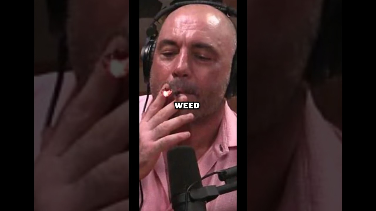 Joe Rogan on his first time smoking weed😂😂😂#joerogan #podcast
