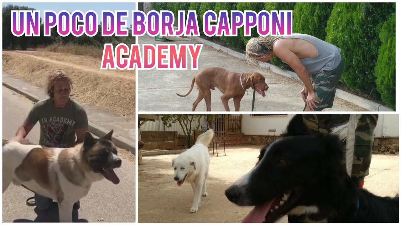 Algunos de los casos de este verano | Así se trabaja en Borja Capponi Academy