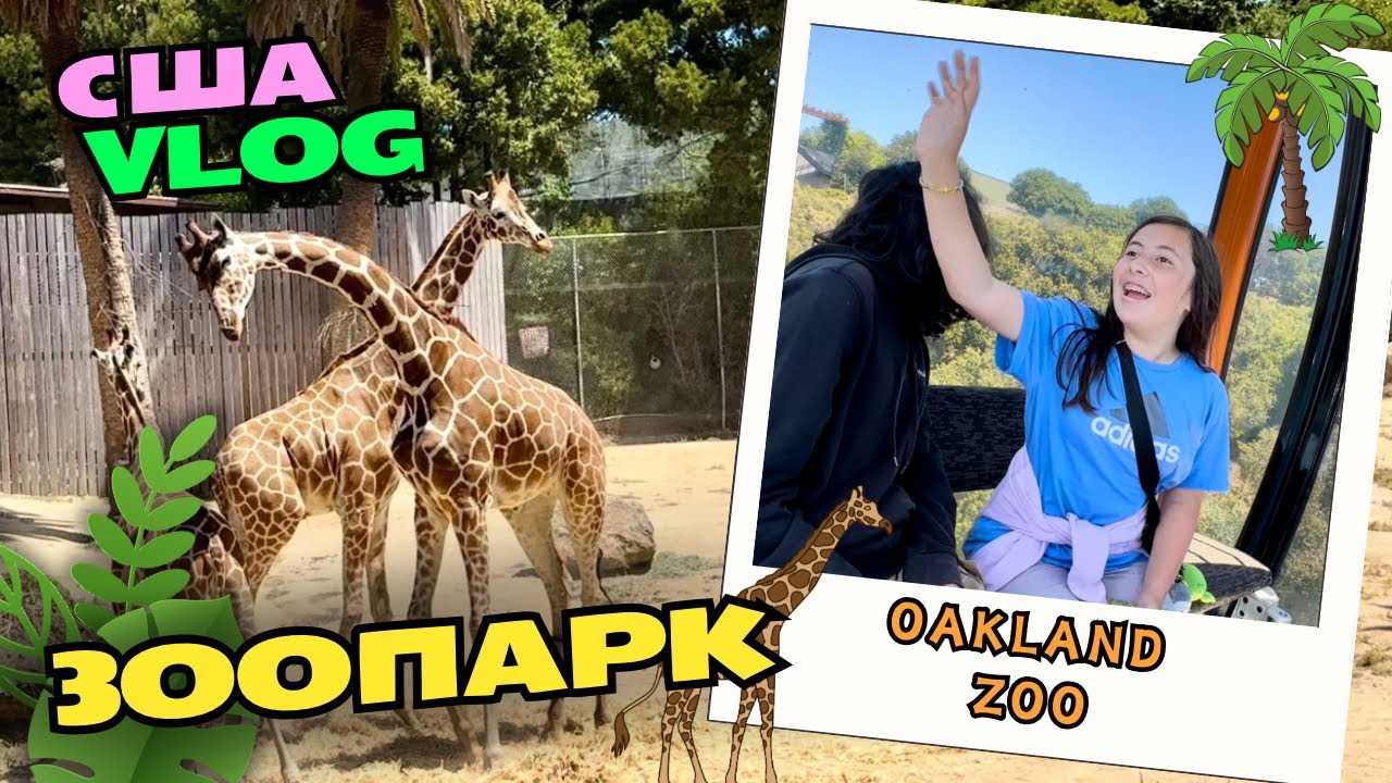 США VLOG ЗООПАРК В ОКЛЕНДЕ 🦓🐘🦒 #влог #zoo @monika_v_amerike