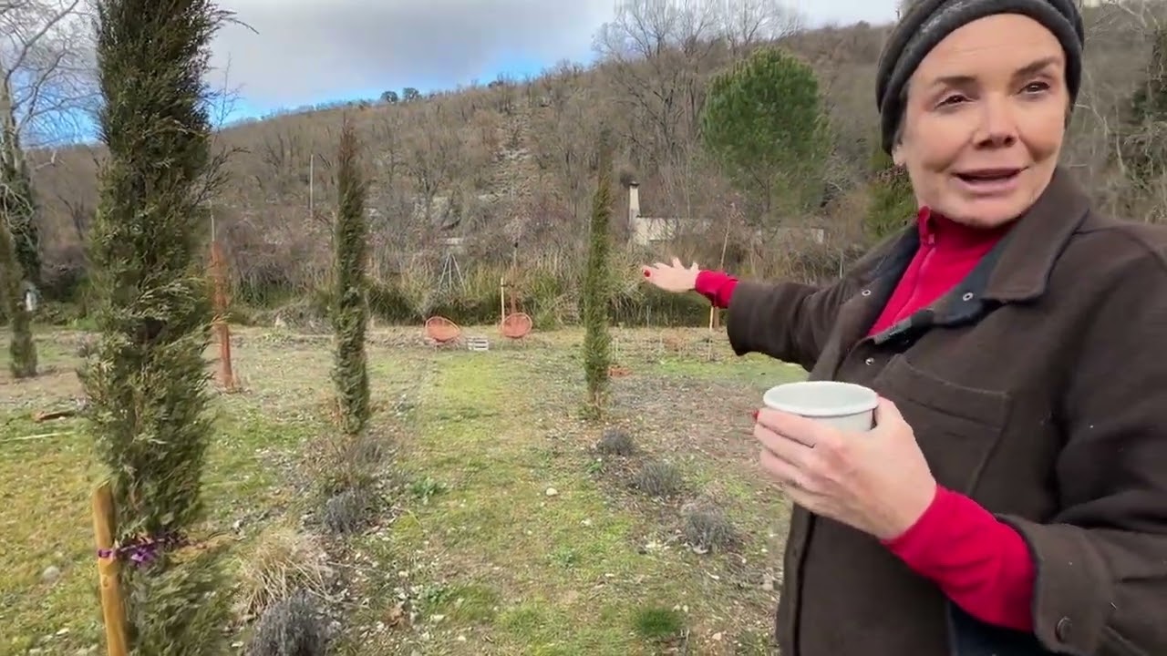 Paseando la desnudez del jardín para ver su estructura 
